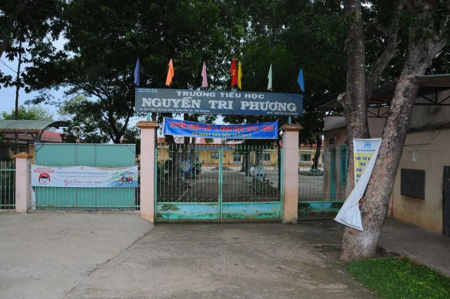 Trường Tiểu Học Nguyễn Tri Phương