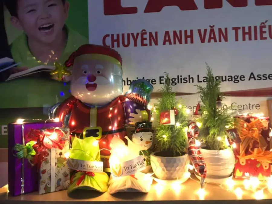 Trung Tâm Ngoại Ngữ Trí Tuệ Việt