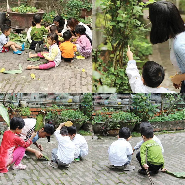 Trường mầm non Cây Bàng Waldorf-inspired School