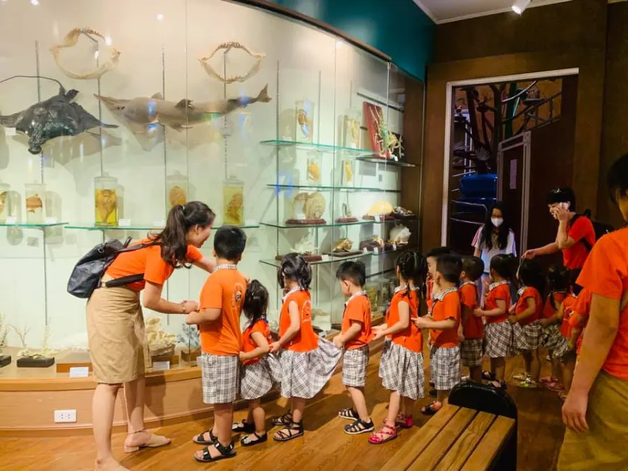 Trường mầm Non Ngôi Nhà Gấu Trúc (Panda House Montessori Preschool)
