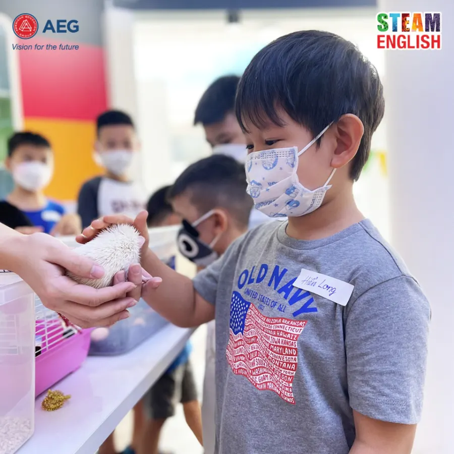 Trung Tâm Anh Ngữ American Education Group (AEG STEAM English)