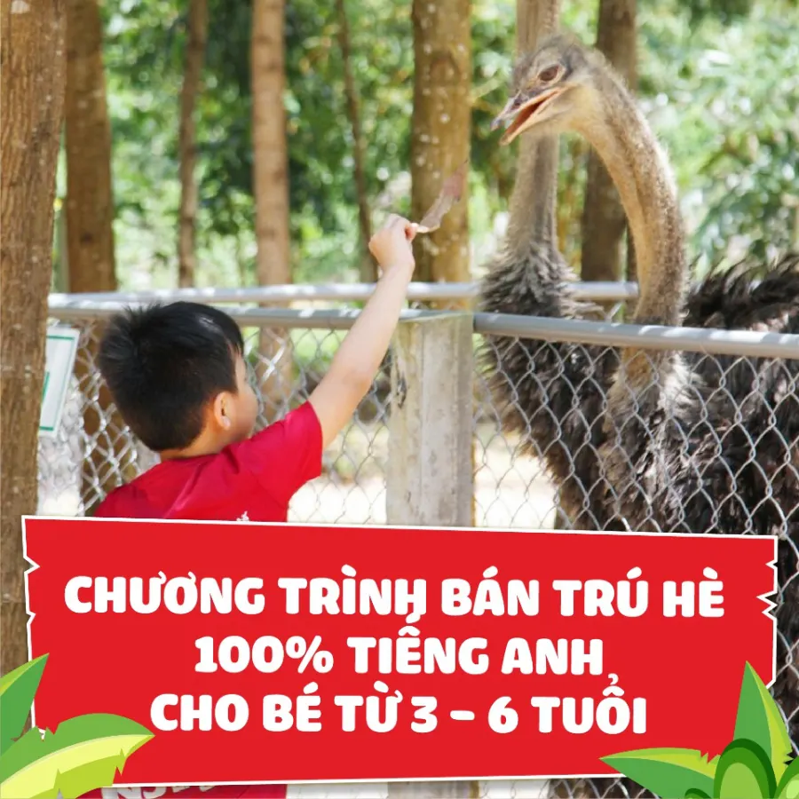 Trung Tâm Anh Ngữ Quốc Tế INS English - Gia Kiệm
