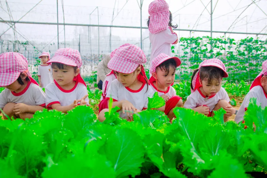 Trung Tâm Ngoại Ngữ VJ