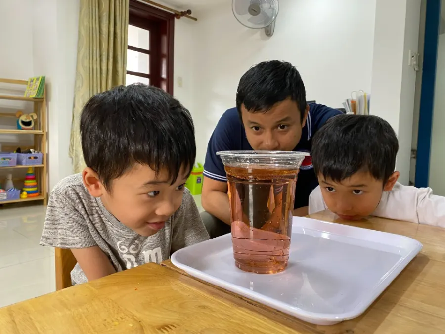 Trường Quốc tế Chuyên biệt STEPS International Special School