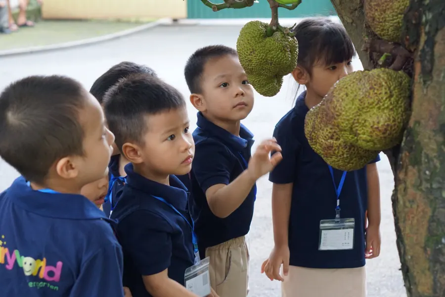 Trường mầm non Thành Công Fairy World Kindergarten