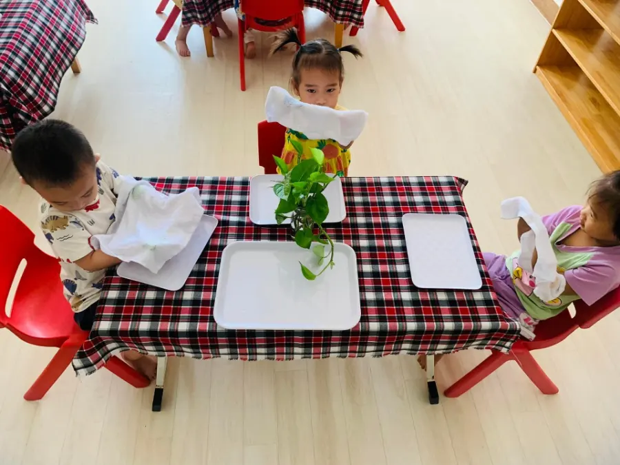 Trường Mầm Non Vườn An Nhiên