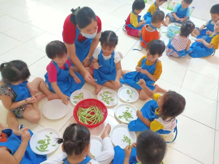 Trường Mầm Non Hoa Phượng Đỏ