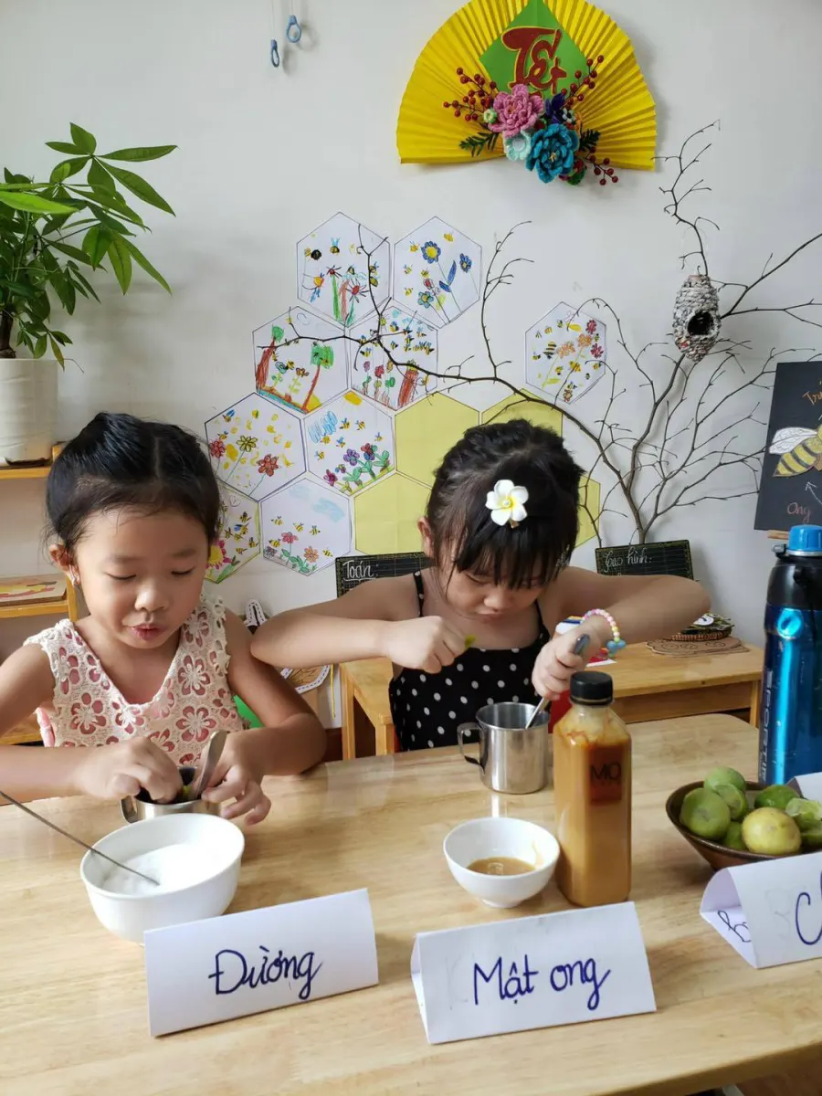 Trường Mầm Non Baby's House Kindergarten (The Sun Avenue campus)