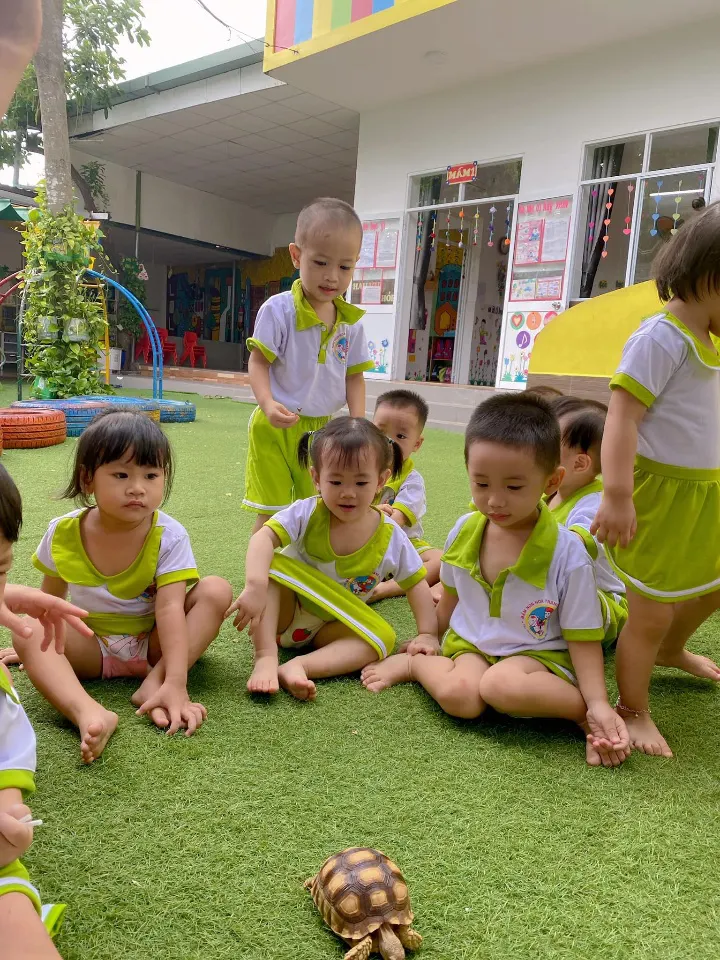 Trường Mầm Non Hoa Trạng Nguyên