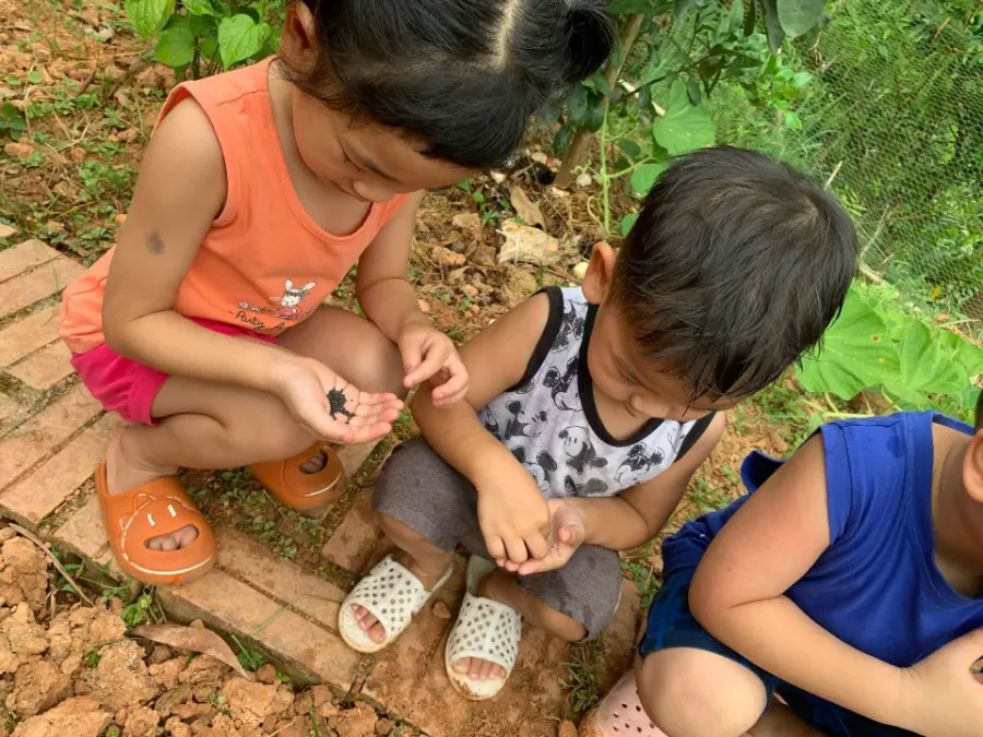 Trường Mầm Non Montessori Kica